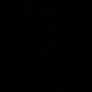 Meet your Posher, Hunter